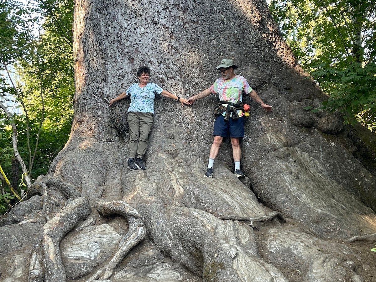 Olympic National Park,&nbsp;WA